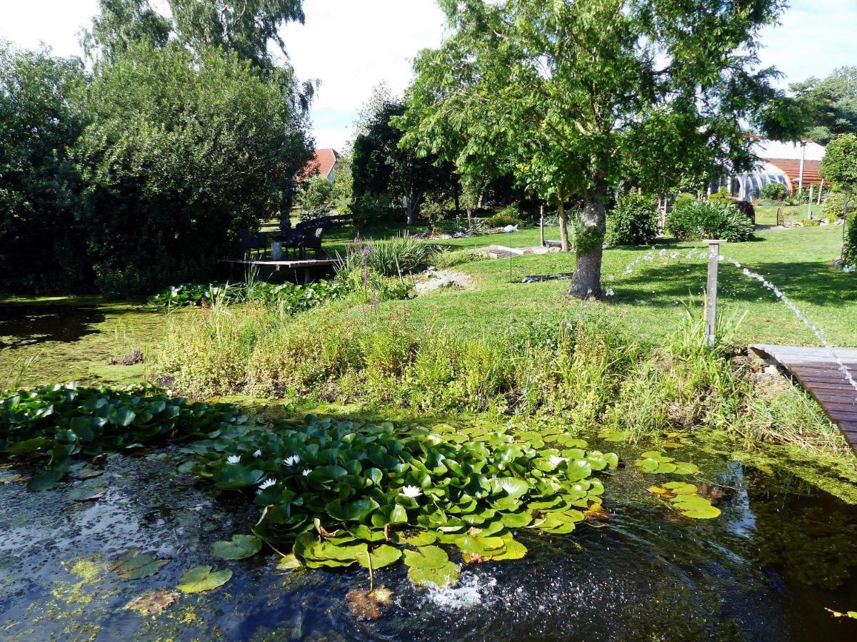 "Balmgarten" Im Naturpark Usedom, Bio Solarhaus Mit Grossem Garten Екстериор снимка